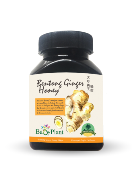 Bentong Ginger Honey - 120g
