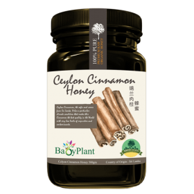 1 bottle Borneo Rainforest Raw Active Honey & 1 bottle Ceylon Cinnamon Honey