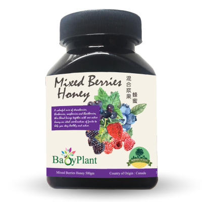 Mixed Berries Honey - 120g