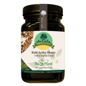 2 bottle Borneo Rainforest Raw Active Honey